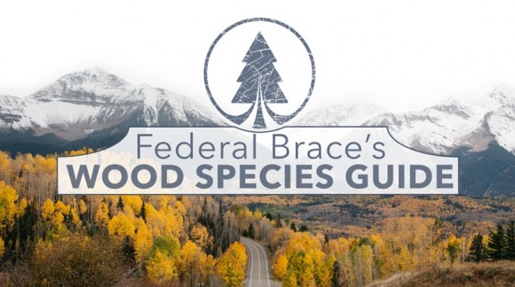 Wood Species Guide: The Most Common Types of Wood