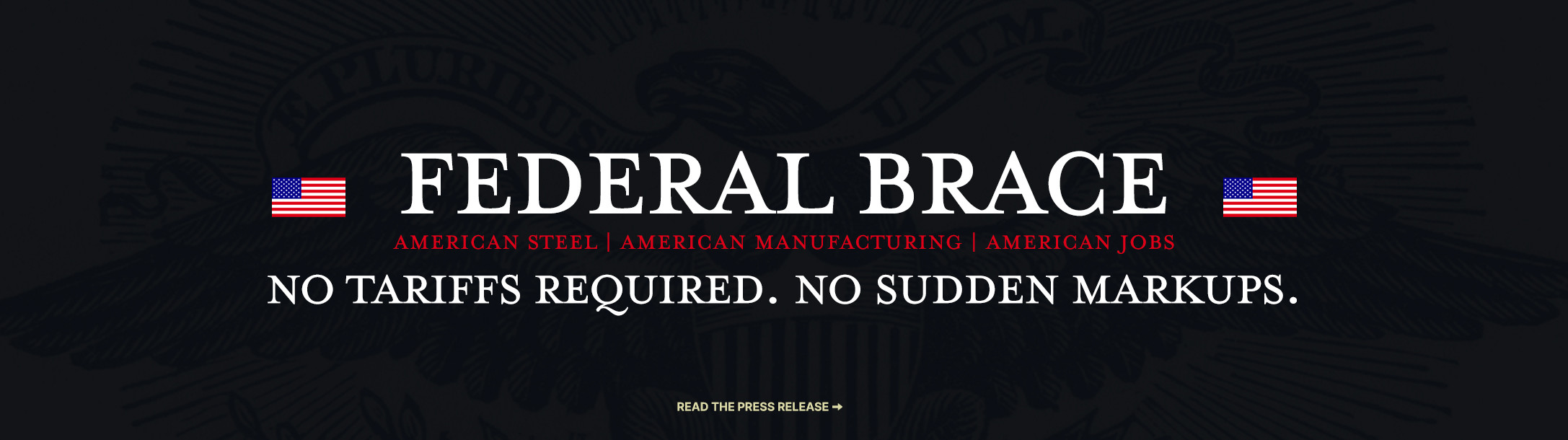 America Strong - Federal Brace